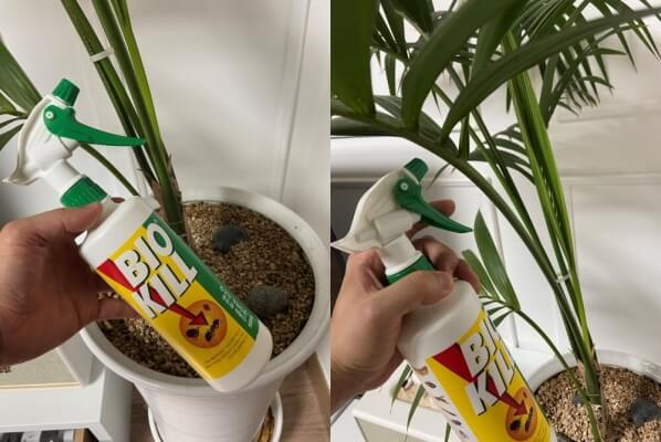 비오킬 실제 사진