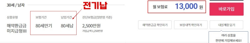 80세만기 전기납 보험료