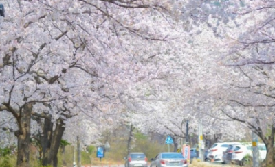 1. 동학사