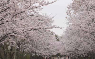 1. 인천대공원