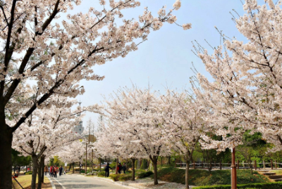 10. 보라매공원