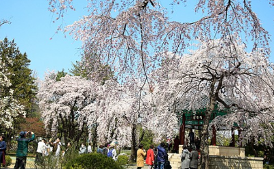 12. 국립 현충원