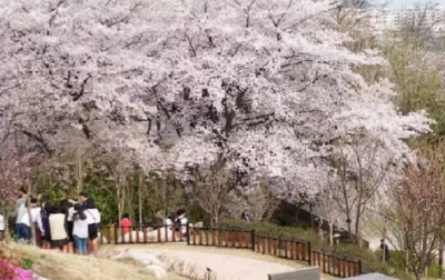 5. 남산 공원