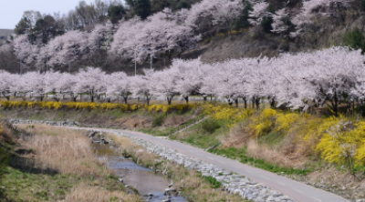 5. 반석천