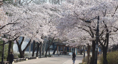 5. 서울 어린이 대공원