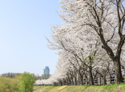 5. 양평갈산공원
