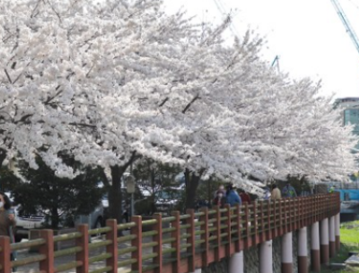 5. 인천청조달청