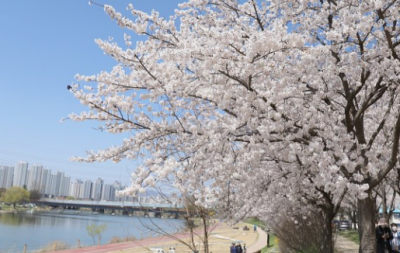6. 정림동 갑천변