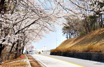 6. 홍제 정수장