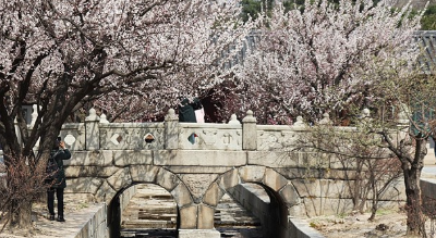 7. 창경궁