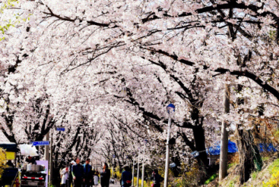 8.고려산