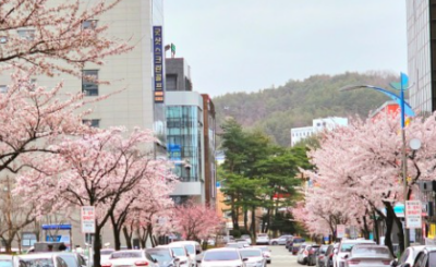 8. 솔옥택지