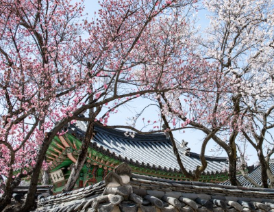 8. 창덕궁