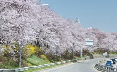 9. 안양천